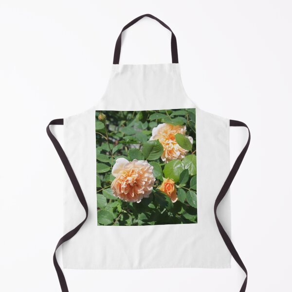 Item preview, Peaches and Cream Roses designed and sold by MalloryWillow.