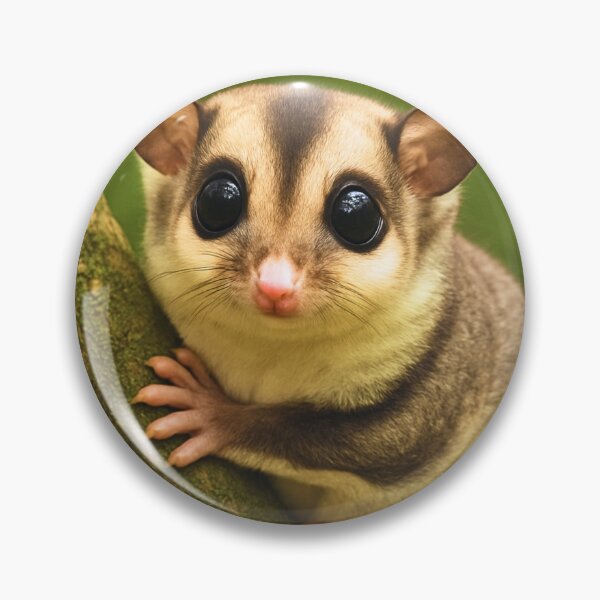 Item preview, Sugar Glider in natural environment designed and sold by BackgroundND.