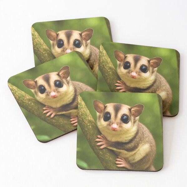Item preview, Sugar Glider in natural environment designed and sold by BackgroundND.