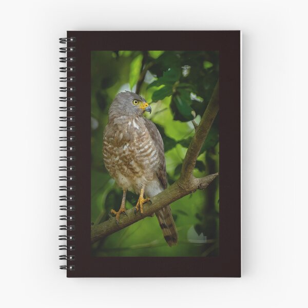 Item preview, Roadside Hawk designed and sold by Shannon Emmel .