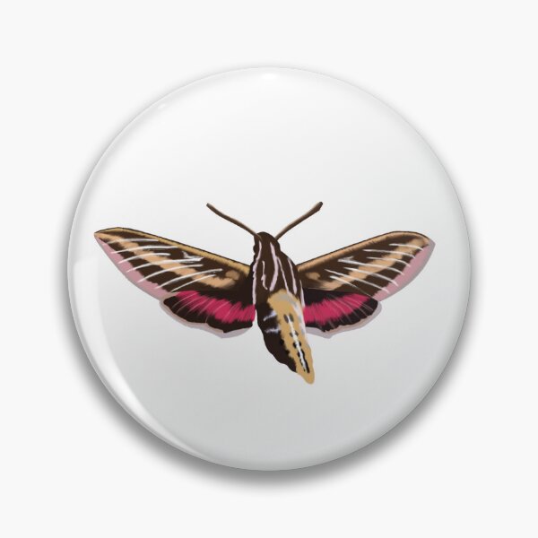 Item preview, Striped Hawk-moth designed and sold by SunsetFirefly.