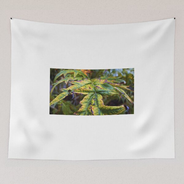 Item preview, esdoorn designed and sold by oniadragon.
