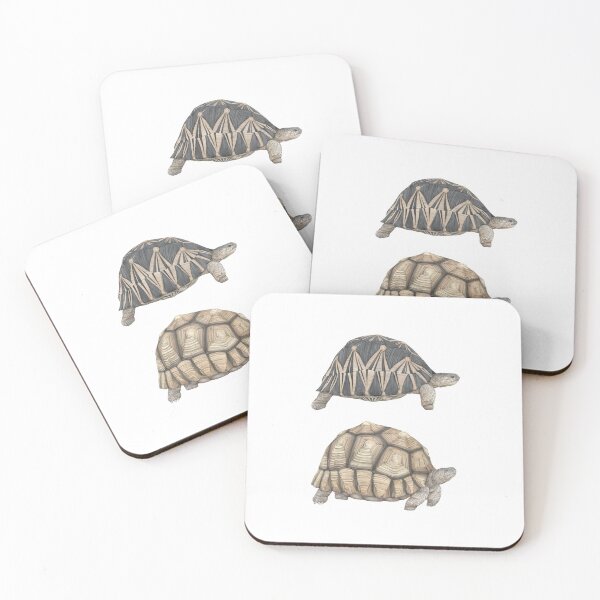 Item preview, Tortoises Wildlife Illustration designed and sold by Lauren Fitton Illustration.