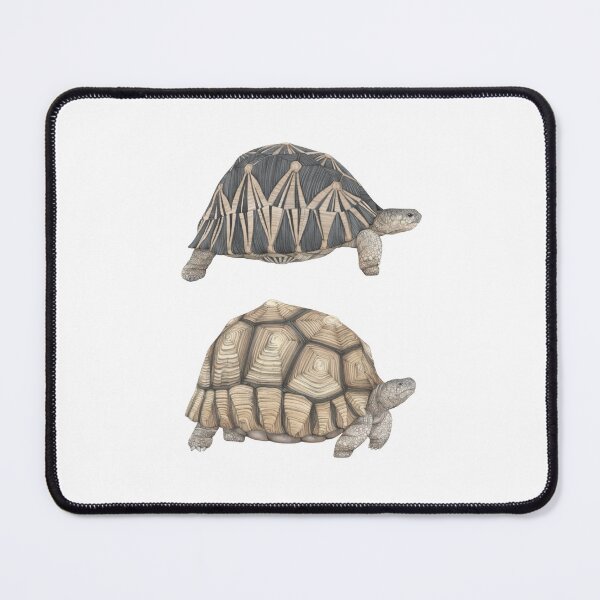 Item preview, Tortoises Wildlife Illustration designed and sold by Lauren Fitton Illustration.