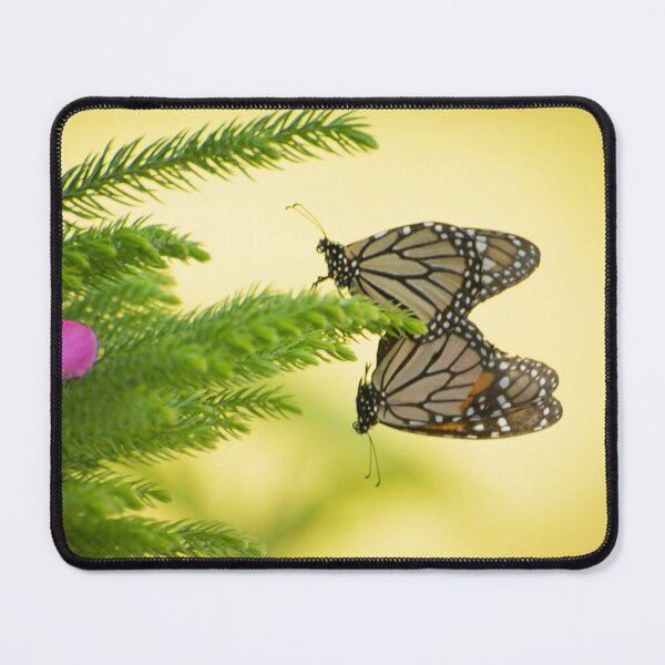 Item preview, Monarch Butterflies Mating on Christmas Tree designed and sold by Zina Stromberg.