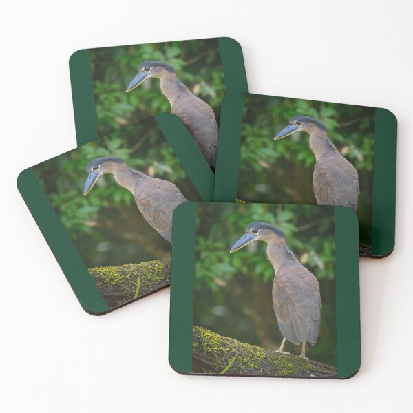 Item preview, Boat-billed heron  designed and sold by Shannon Emmel .