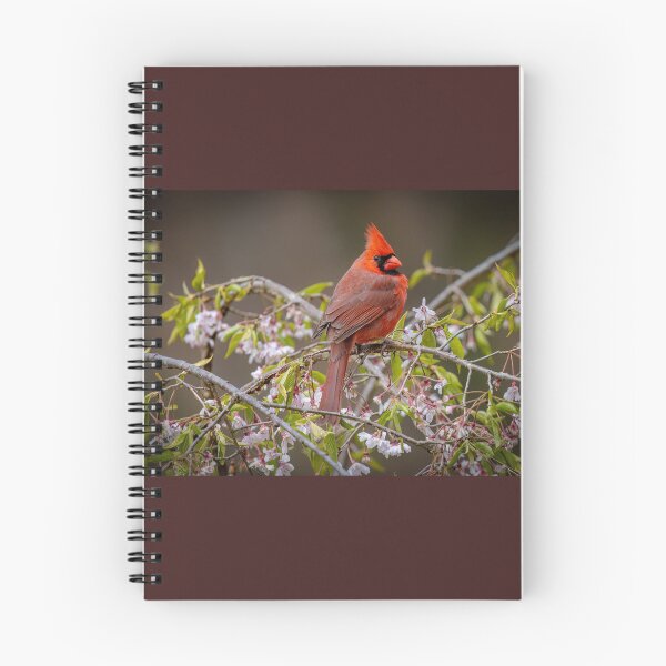Item preview, Northern cardinal on a cherry tree designed and sold by Shannon Emmel .