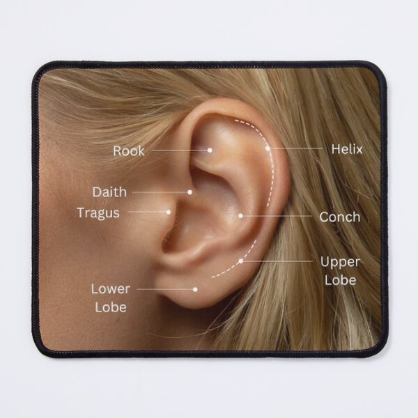 Item preview, ear piercing chart designed and sold by stirlingalex.