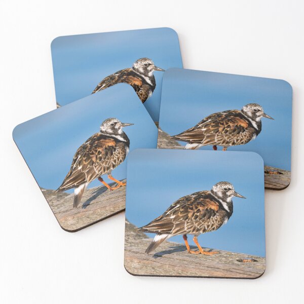 Item preview, Ruddy Turnstone - Arenaria interpres designed and sold by Dorset Girl.