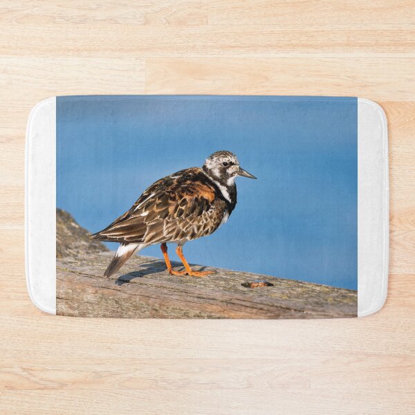 Item preview, Ruddy Turnstone - Arenaria interpres designed and sold by Dorset Girl.