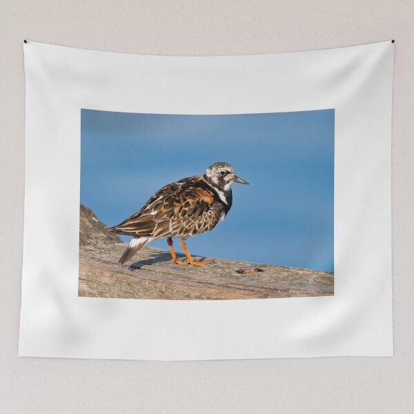 Item preview, Ruddy Turnstone - Arenaria interpres designed and sold by Dorset Girl.