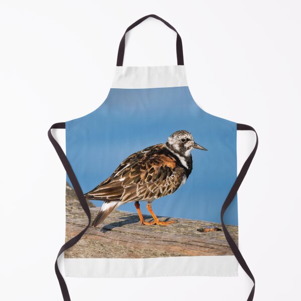 Item preview, Ruddy Turnstone - Arenaria interpres designed and sold by Dorset Girl.
