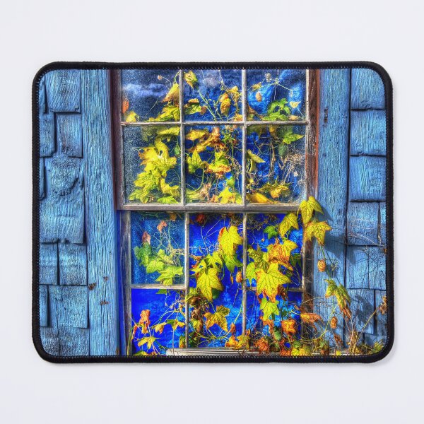 Item preview, Deep Reflections in a Window Garden designed and sold by Wayne King.