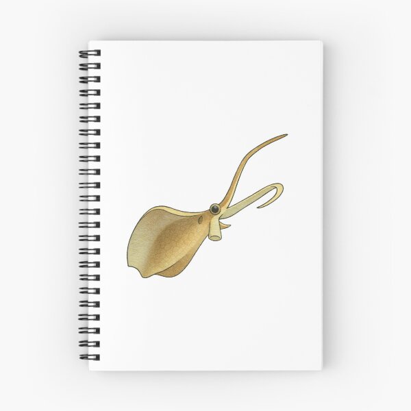Item preview, Nectocaris Illustration, Prehistoric Cambrian Cephalopod-Like Creature Art designed and sold by Vendeloc.
