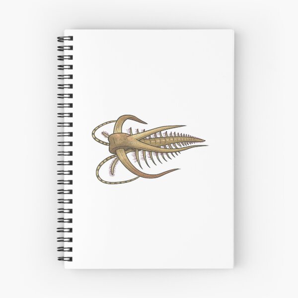 Item preview, Marella Illustration, Prehistoric Cambrian Arthropod Art designed and sold by Vendeloc.