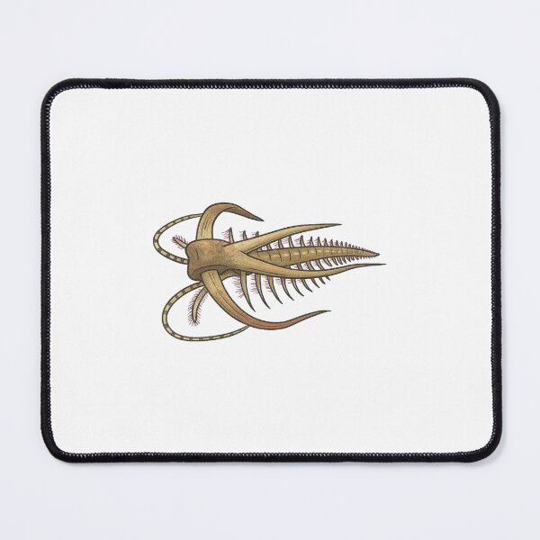 Item preview, Marella Illustration, Prehistoric Cambrian Arthropod Art designed and sold by Vendeloc.