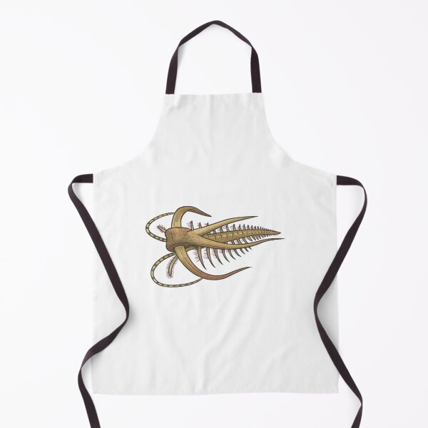 Item preview, Marella Illustration, Prehistoric Cambrian Arthropod Art designed and sold by Vendeloc.