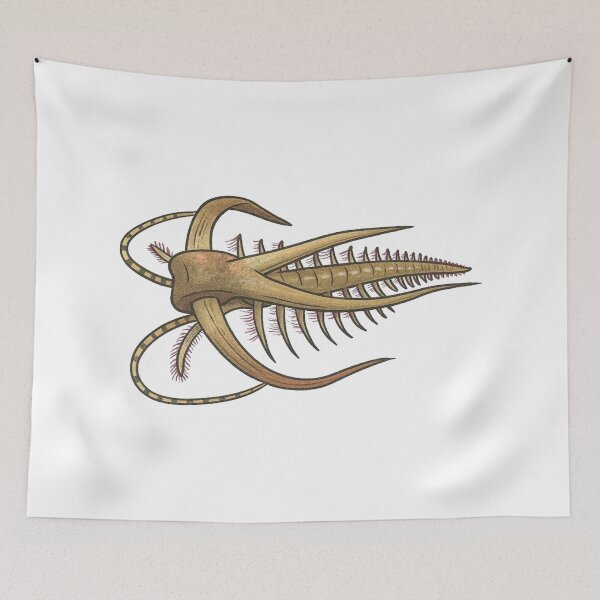 Item preview, Marella Illustration, Prehistoric Cambrian Arthropod Art designed and sold by Vendeloc.