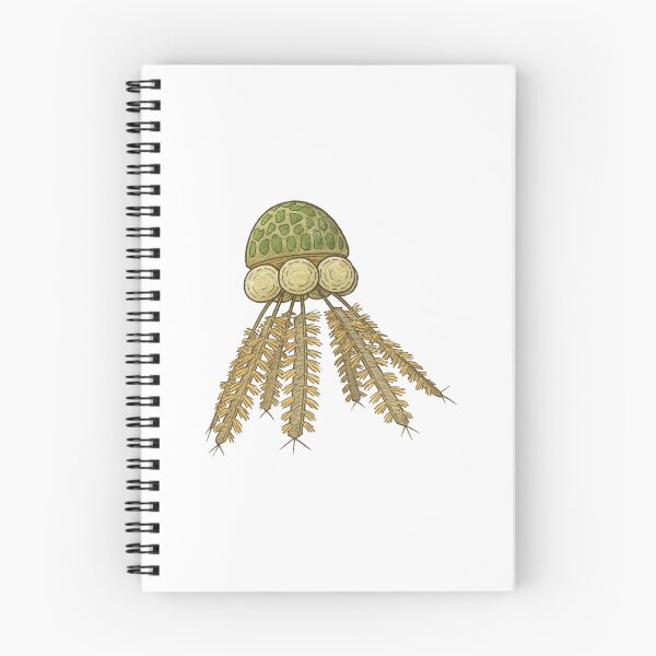Item preview, Graptolite Illustration, Prehistoric Colonial Cambrian Animal Art designed and sold by Vendeloc.