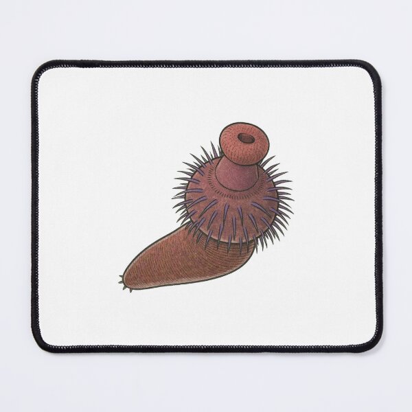 Item preview, Ottoia Illustration, Prehistoric Cambrian Worm Art designed and sold by Vendeloc.