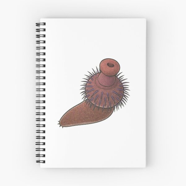 Item preview, Ottoia Illustration, Prehistoric Cambrian Worm Art designed and sold by Vendeloc.