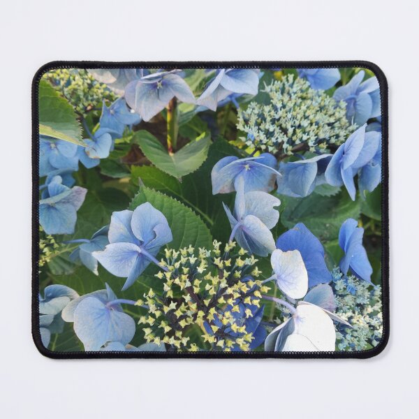 Item preview, Blue hydrangea blossoms designed and sold by esvb.