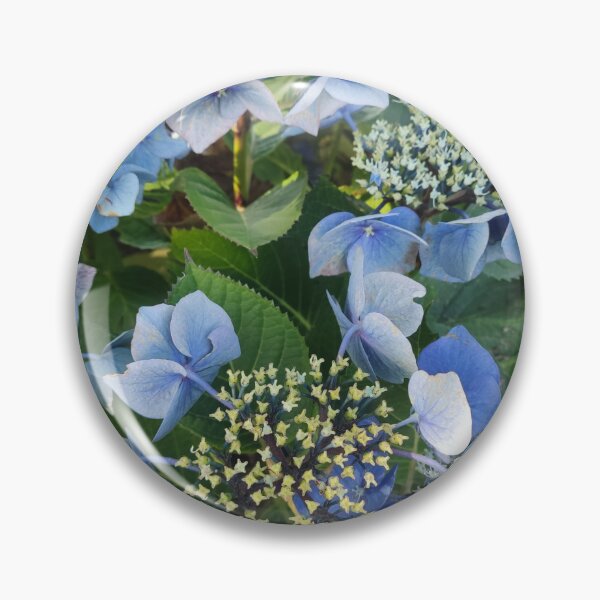 Item preview, Blue hydrangea blossoms designed and sold by esvb.