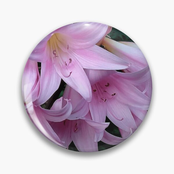 Item preview, Floral - Suprise Lilies by  Wagonesta  designed and sold by Wagonesta.