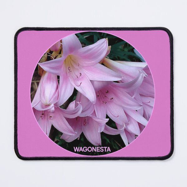 Item preview, Floral - Suprise Lilies by Wagonesta designed and sold by Wagonesta.