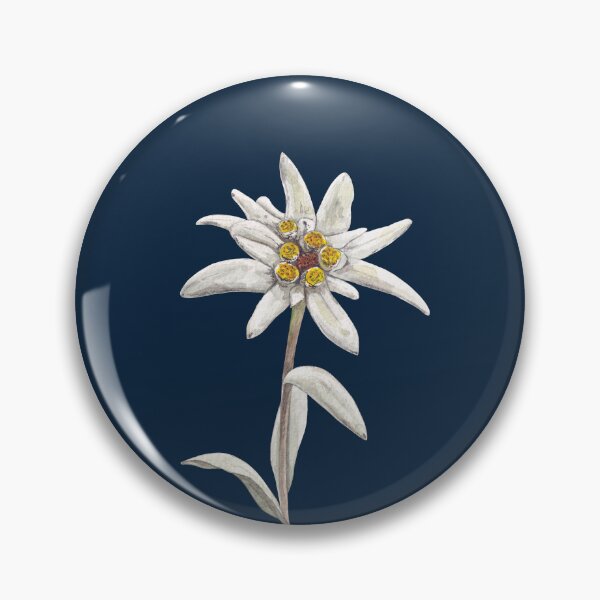 Item preview, EDELWEISS-Leontopodium alpinum designed and sold by BEATRIZ ABAITUA.