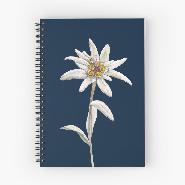 Item preview, EDELWEISS-Leontopodium alpinum designed and sold by BEATRIZ ABAITUA.