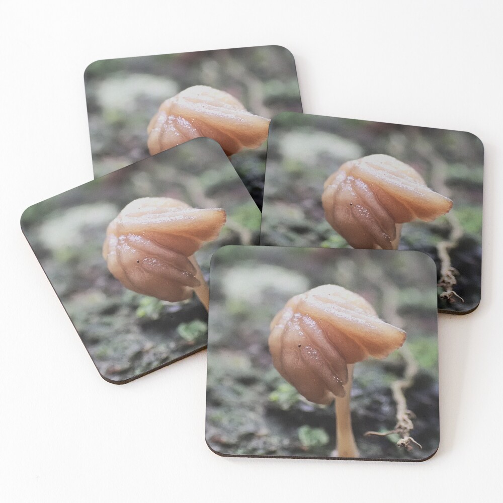Item preview, Coasters (Set of 4) designed and sold by Scuba-Rae.