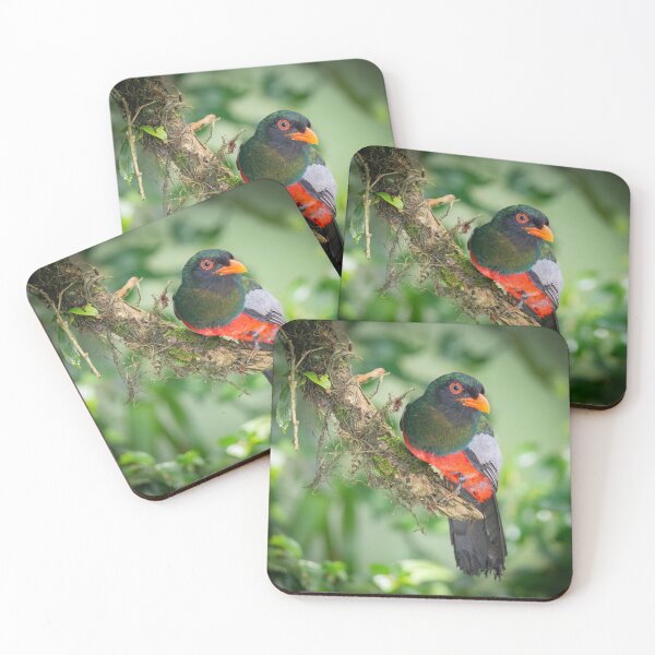 Item preview, Slaty-tailed trogon designed and sold by Shannon Emmel .