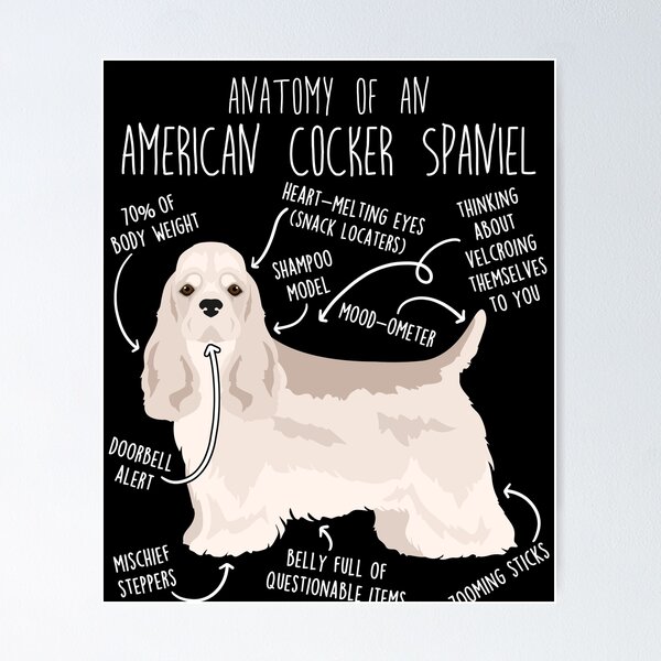 Item preview, Silver American Cocker Spaniel Dog Anatomy designed and sold by Clara Hollins.