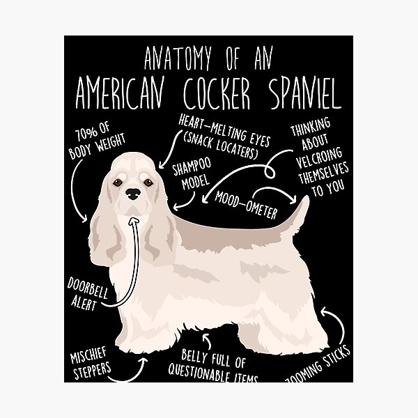 Item preview, Silver American Cocker Spaniel Dog Anatomy designed and sold by Clara Hollins.