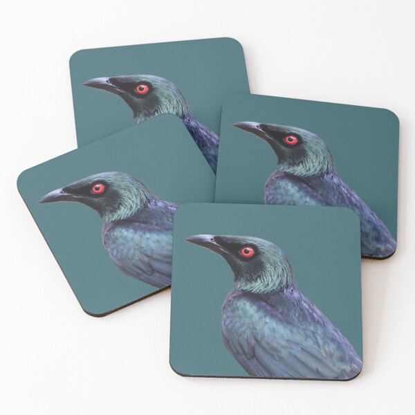 Item preview, Asian Glossy Starling on Teal designed and sold by Barnbk02.