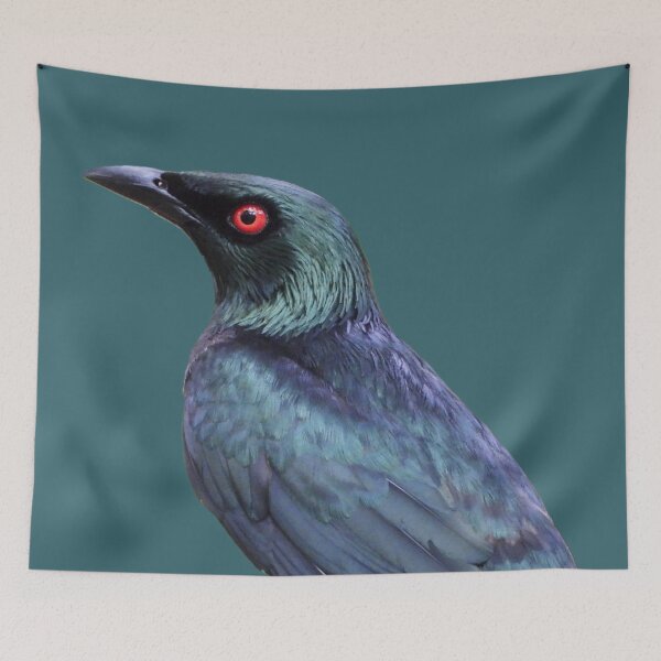 Item preview, Asian Glossy Starling on Teal designed and sold by Barnbk02.
