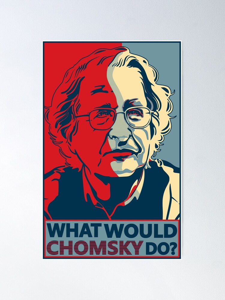 Social Care Chomsky Cognitive Theory Understanding Noam Chomsky