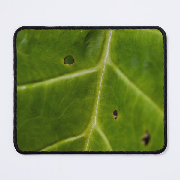Item preview, Elephant Ear Leaf Macro designed and sold by PhotoArtbyGrace.