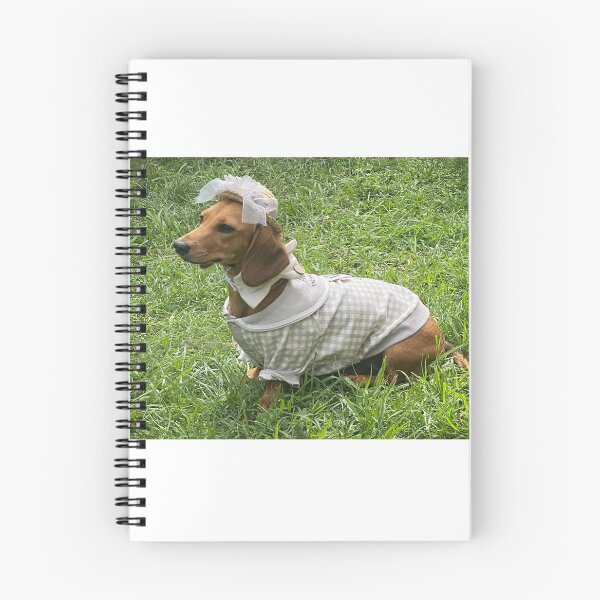 Item preview, Dachshund in Sunday Best! designed and sold by Roz McQuillan Fine Art & Photography.