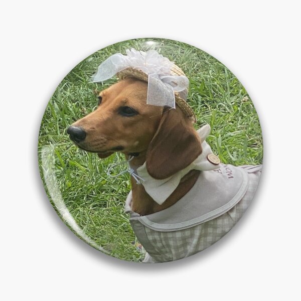 Item preview, Dachshund in Sunday Best! designed and sold by Roz McQuillan Fine Art & Photography.