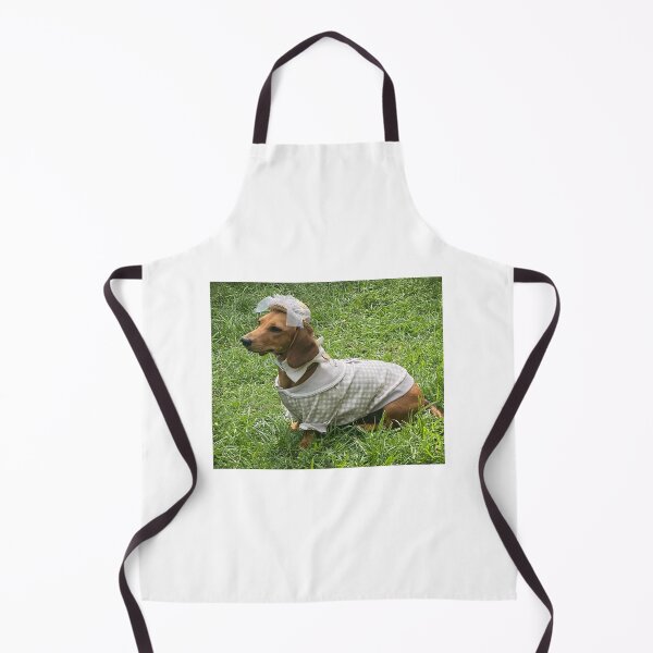 Item preview, Dachshund in Sunday Best! designed and sold by Roz McQuillan Fine Art & Photography.