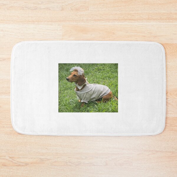 Item preview, Dachshund in Sunday Best! designed and sold by Roz McQuillan Fine Art & Photography.