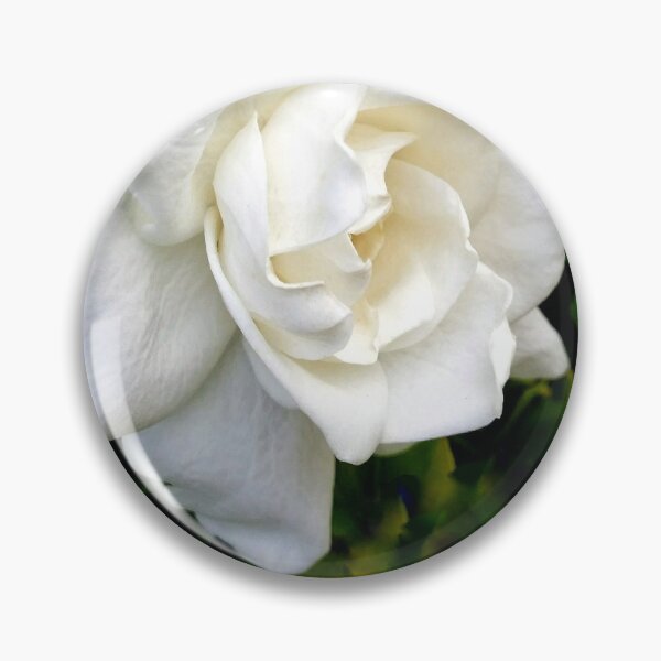 Item preview, Portrait of a Gardenia DPSS20170520a designed and sold by CSteenArt.