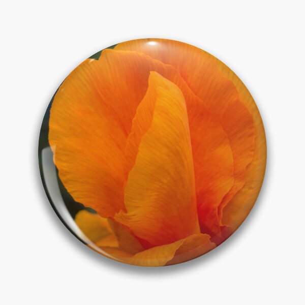 Item preview, Canna 'Yellow King Humbert' designed and sold by ROSE ANN BANILAR.