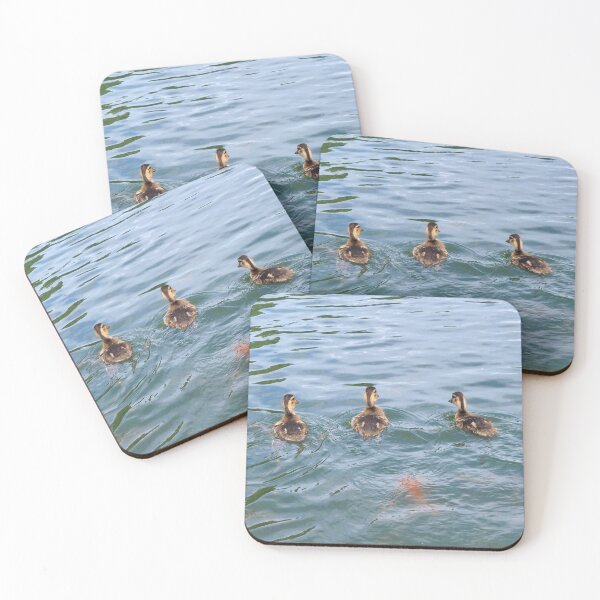 Item preview, Ducklings Swimming Away designed and sold by BackyardBirder.