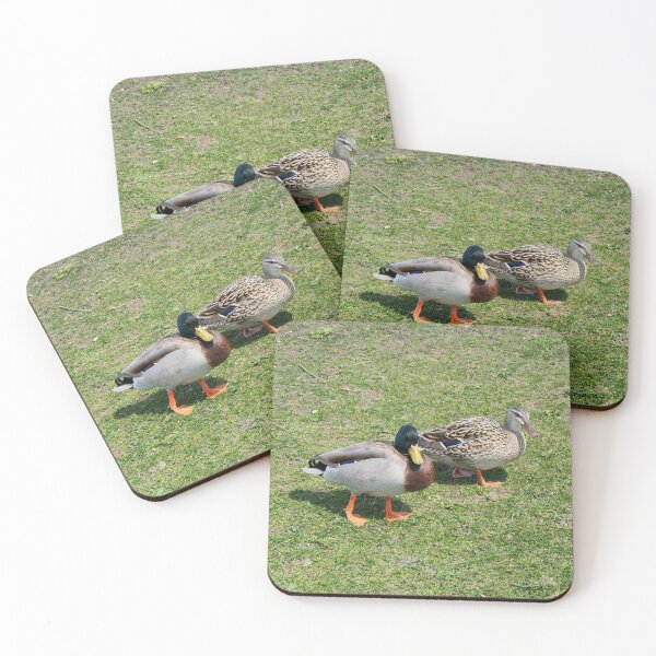Item preview, Two Mallard Ducks Going For a Walk designed and sold by BackyardBirder.