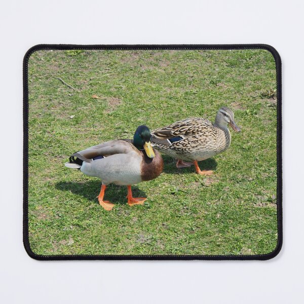 Item preview, Two Mallard Ducks Going For a Walk designed and sold by BackyardBirder.