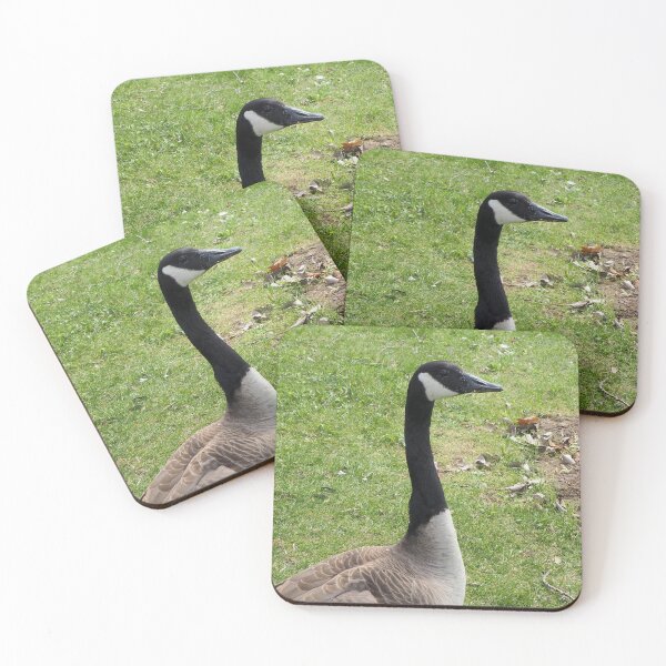 Item preview, Cute Canada Goose designed and sold by BackyardBirder.