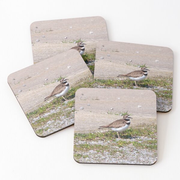 Item preview, Killdeer Standing On The Gravel designed and sold by BackyardBirder.